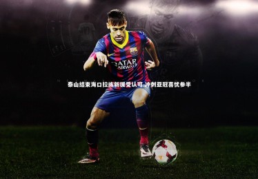 【YY易游体育官方网站】泰山结束海口拉练新援受认可 冲刺亚冠喜忧参半