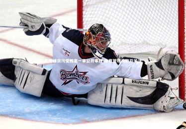 【YY易游体育官网】王登峰贪污受贿案一审公开审理 体育管理腐败引关注