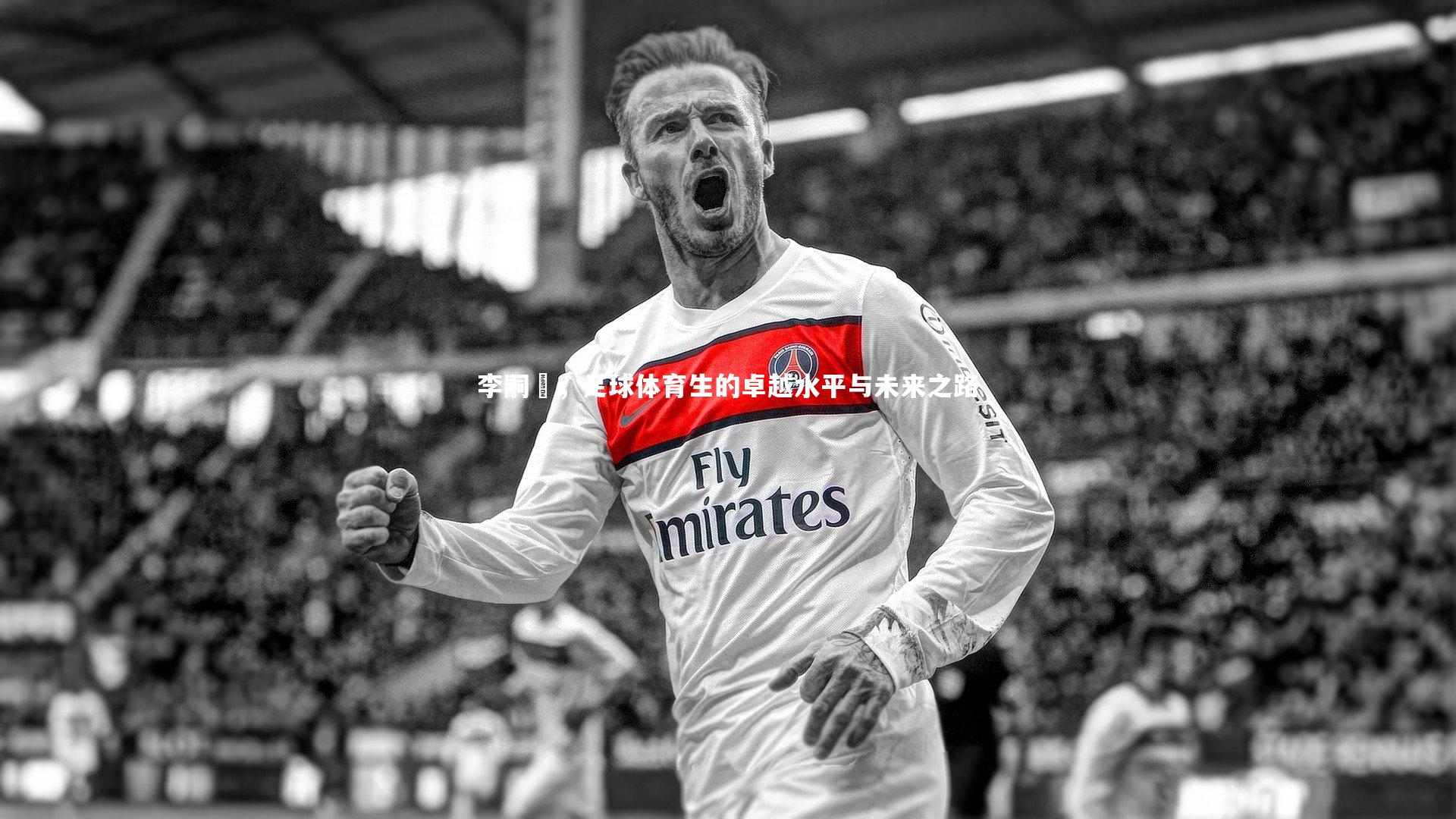 李嗣镕，足球体育生的卓越水平与未来之路