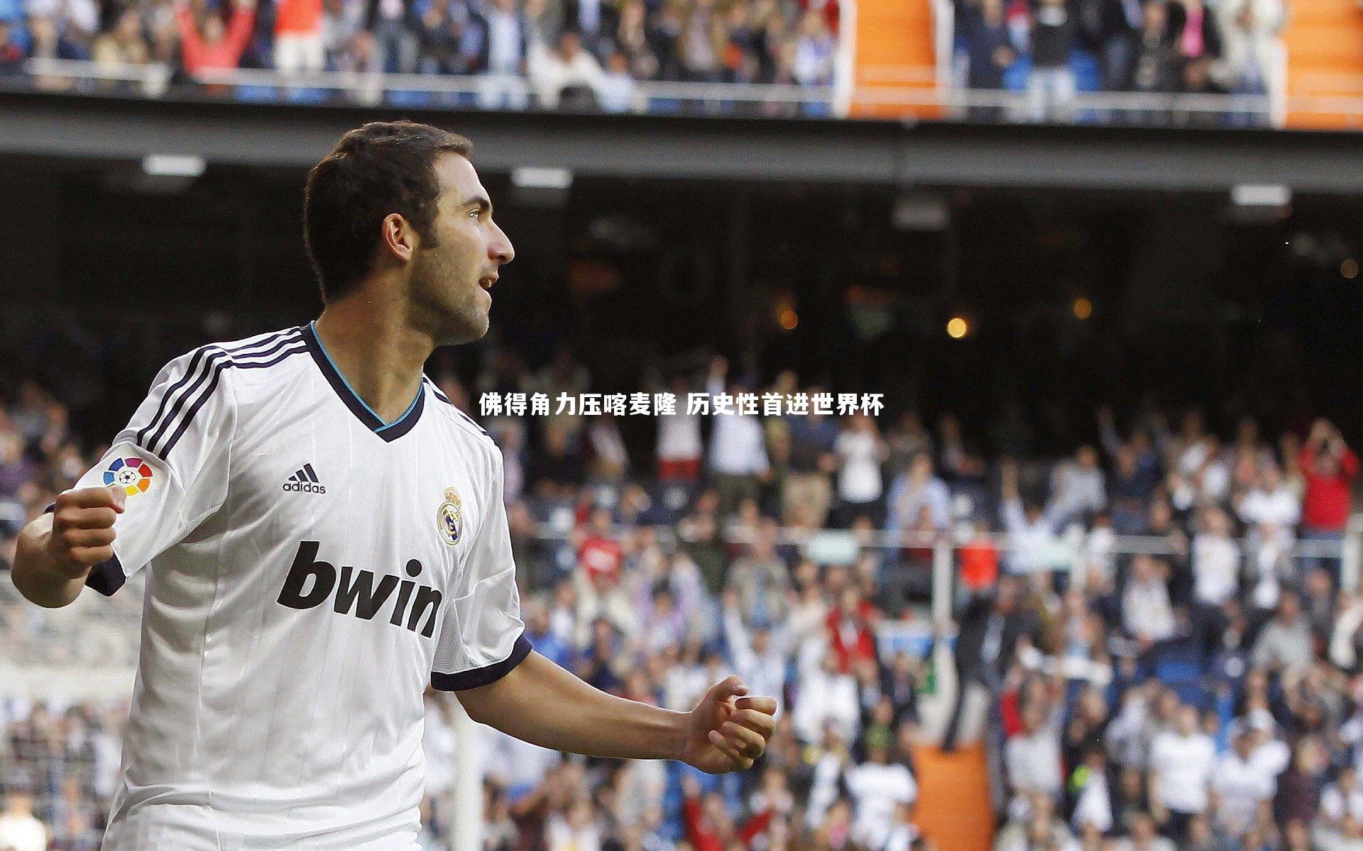 佛得角力压喀麦隆 历史性首进世界杯